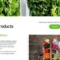 Orfa Organic Farm Products Elementor Template kit - Image 4