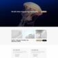 Katelyn Modern Blog Template kit - Image 24