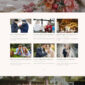 Swansa Wedding Elementor Template kit - Image 5