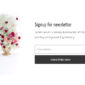 Eflorist Flower Boutique Decoration Elementor Temp - Elementor Template Kit - Image 12
