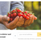 Nablus Organic Food Agriculture Template kit - Image 15