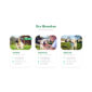 Petcare Pet Boarding and Care Centre Template kit - Image 6
