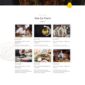 Kodai Asian Restaurant Elementor Template kit - Image 4