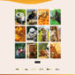 Modhu Beekeeping Honey Elementor Template kit - Image 22