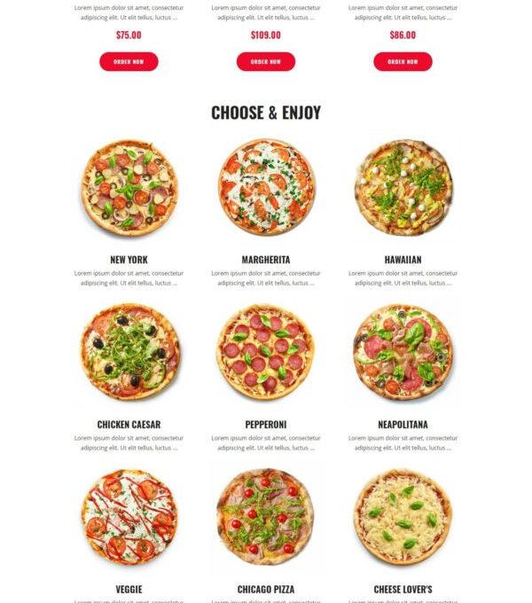 Foodo Fast Food Pizza Elementor Templates - Elementor Template Kit - Image 5