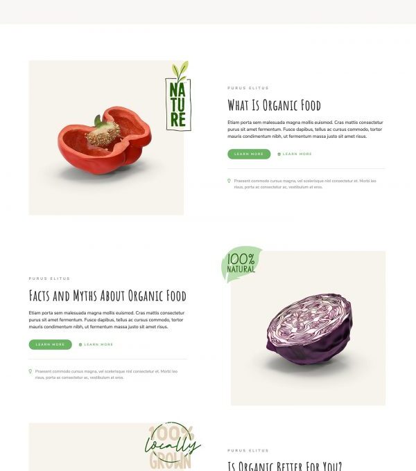 Allfresh Grocery Store Template kit - Image 16