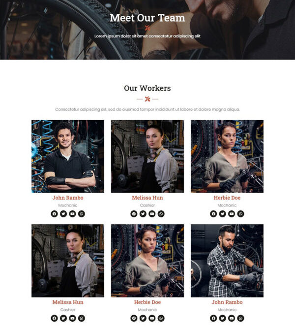 Baek Bicycle Repair and Service Elementor Template - Elementor Template Kit - Image 12