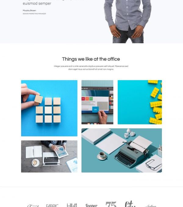 Nivos Software Company Template kit - Image 12