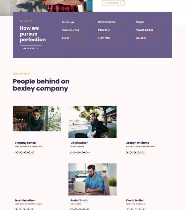 Bexley Digital Marketing Agency Template kit - Image 3