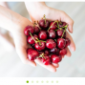 Farmino Organic Food Template kit - Image 19