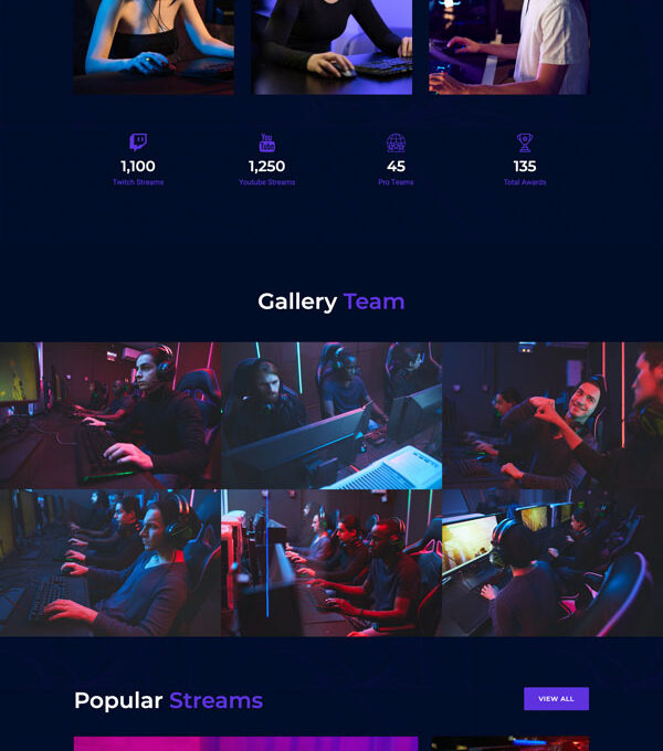 Ggwepe Esports Gaming Elementor Template kit - Image 11