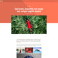Poro Photography Template kit - Image 6