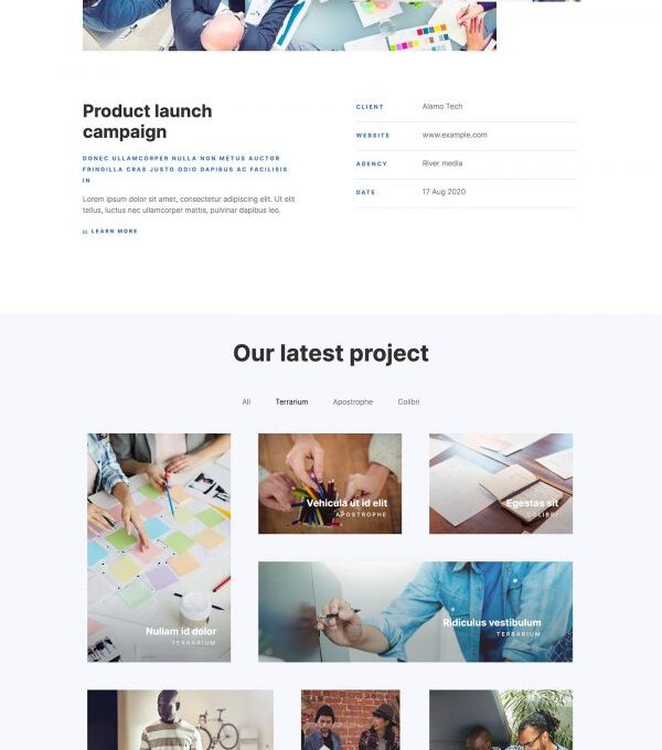 Briel Digital Marketing Agency Elementor Template - Elementor Template Kit - Image 9