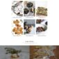 Especio Food Blog Elementor Template kit - Image 11