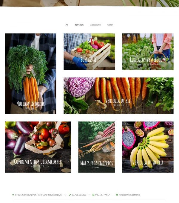 Allfresh Grocery Store Template kit - Image 11