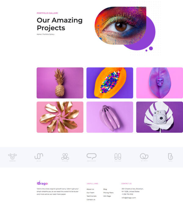 Drago Creative Digital Agency Elementor Template K - Elementor Template Kit - Image 9