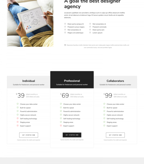 Snobite Clean Minimal Portfolio Elementor Template - Elementor Template Kit - Image 5