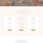 Swansa Wedding Elementor Template kit - Image 13