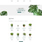 Plantsy Houseplants Elementor Template kit - Image 7