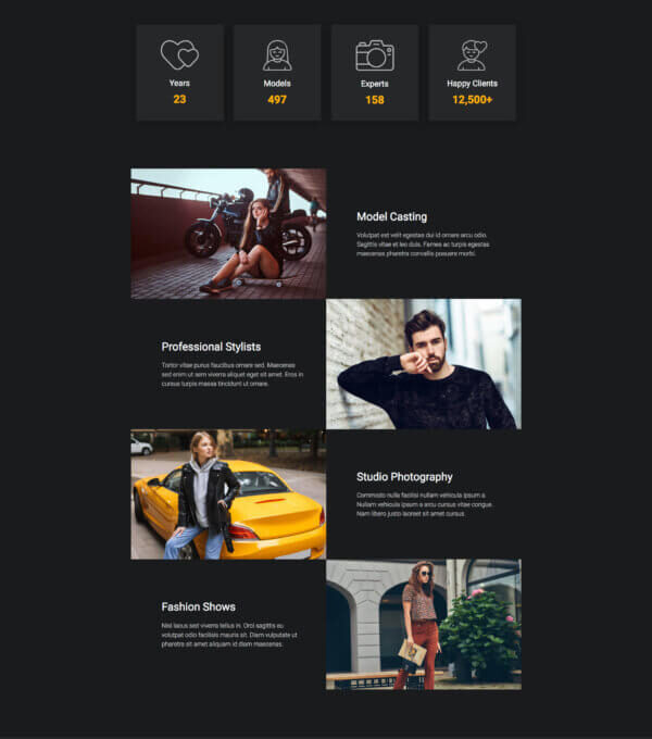 Alasia Model Agency Elementor Template Kitl - Image 21