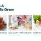 Farmino Organic Food Template kit - Image 17