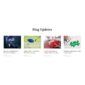 Bizgue Business Elementor Template kit - Image 22