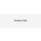 Bizgue Business Elementor Template kit - Image 19