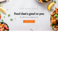 Food Nutrition Elementor Template kit - Image 15