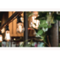 The Restaurant Elementor Template kit - Image 13