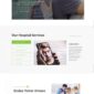 Medici Hospital Health Services Template kit - Image 6