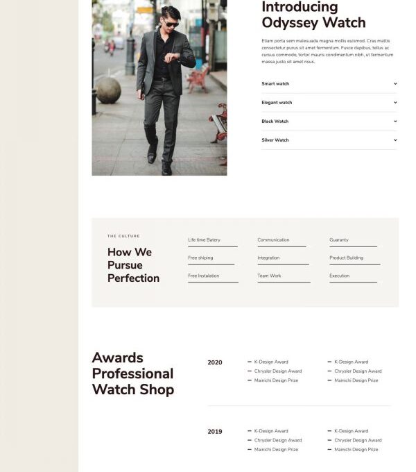 Odyssey Jewelry Watch Woocommerce Template kit - Image 14