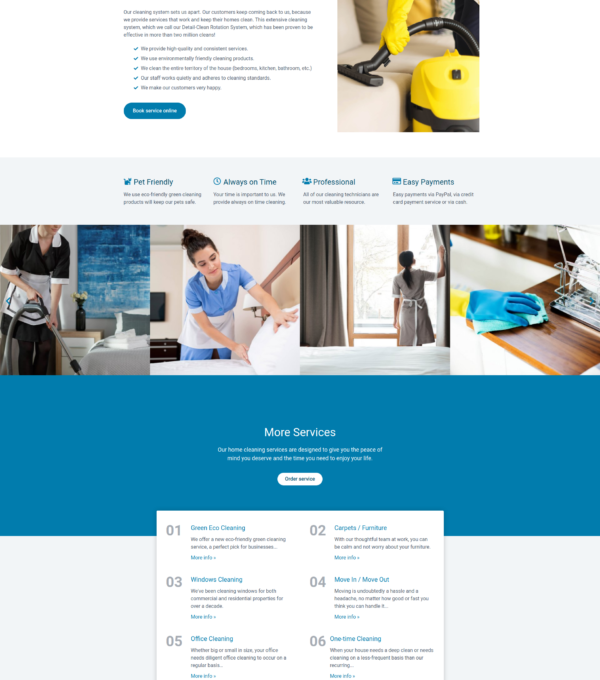 Dribo Cleaning Company Template kit for Elementor - Image 27