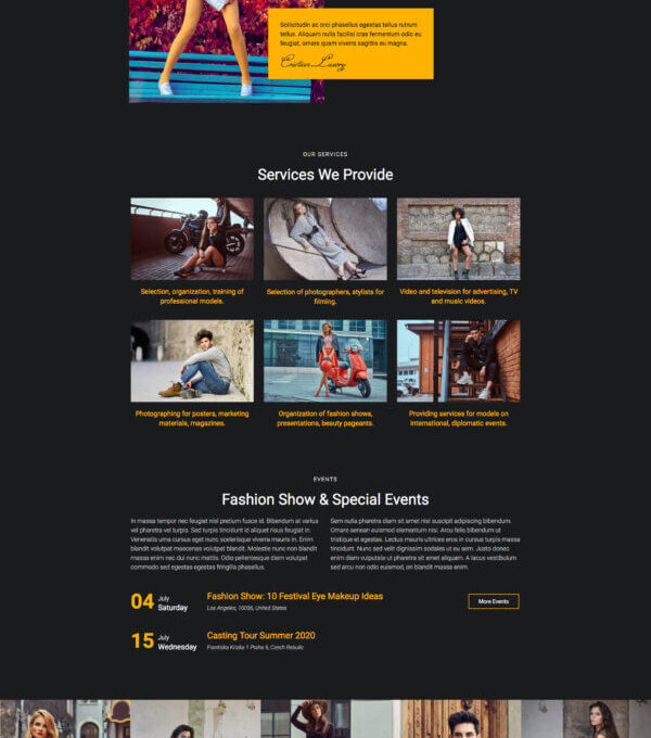 Alasia Model Agency Elementor Template Kitl - Image 20