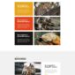 Impacto Patronus Petitions Social Activism Templat - Elementor Template Kit - Image 41