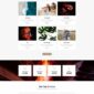 Katelyn Modern Blog Template kit - Image 18
