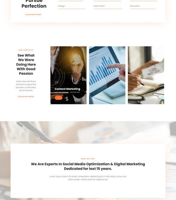 Ligula Online Marketing Seo Agency Template kit - Image 13