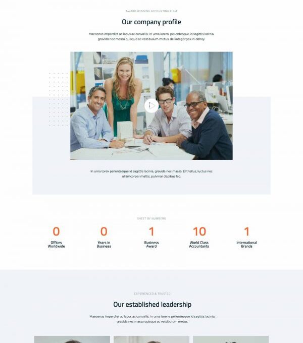 Sheet Modern Accounting Firm Template kit - Image 6