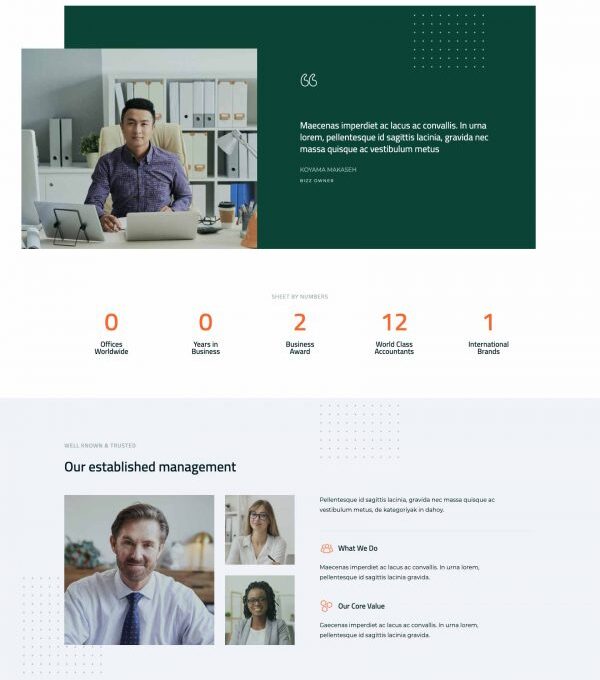 Sheet Modern Accounting Firm Template kit - Image 11