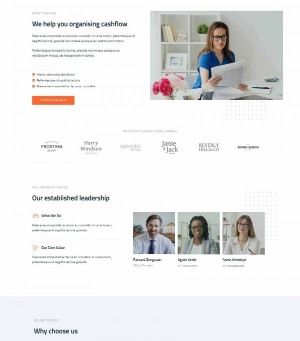 Sheet Modern Accounting Firm Template kit