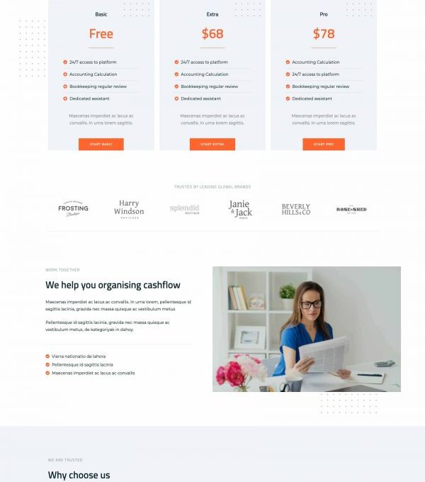 Sheet Modern Accounting Firm Template kit - Image 10