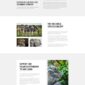 Impacto Patronus Petitions Social Activism Templat - Elementor Template Kit - Image 39