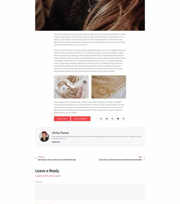 Blog4life Blog Magazine Elementor Template kit - Image 9