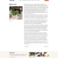 Neema Business Coach Elementor Template kit - Image 5