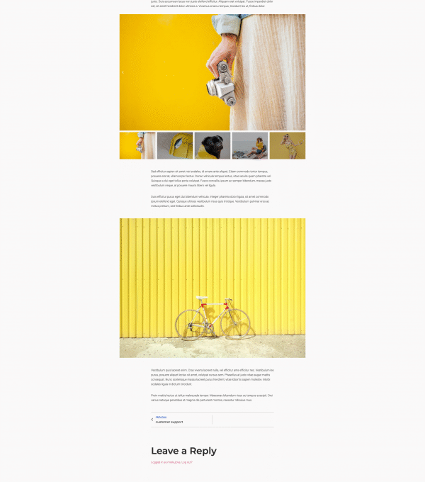 Proto Photographer Portfolio Template kit - Image 6