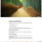 Kaleo Creative Portfolio Template kit - Image 21