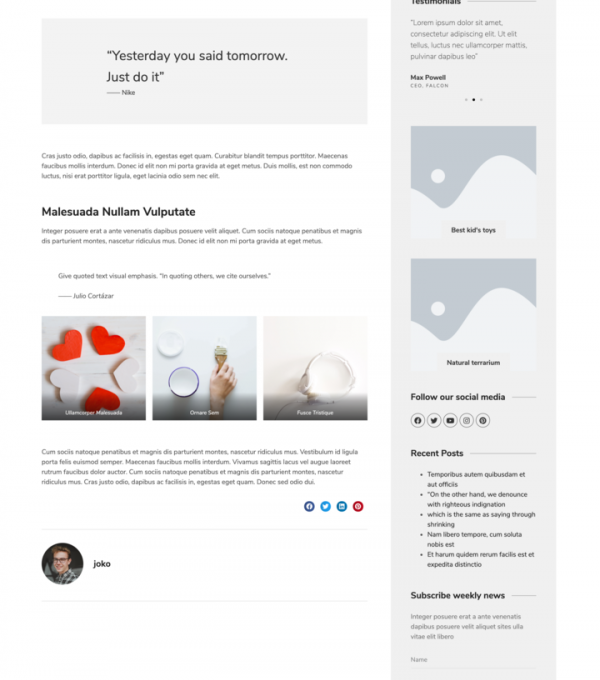 Snobite Clean Minimal Portfolio Elementor Template - Elementor Template Kit - Image 13