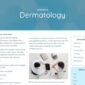 Oxygon Healthcare Medical Clinic Template kit - Image 3