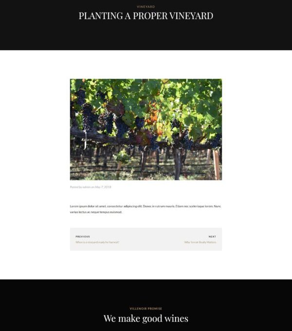 Villenoir Wine Template kit - Image 7