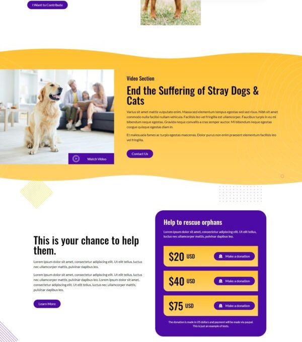 Adopt Adoption Service Charity Elementor Template - Elementor Template Kit - Image 3