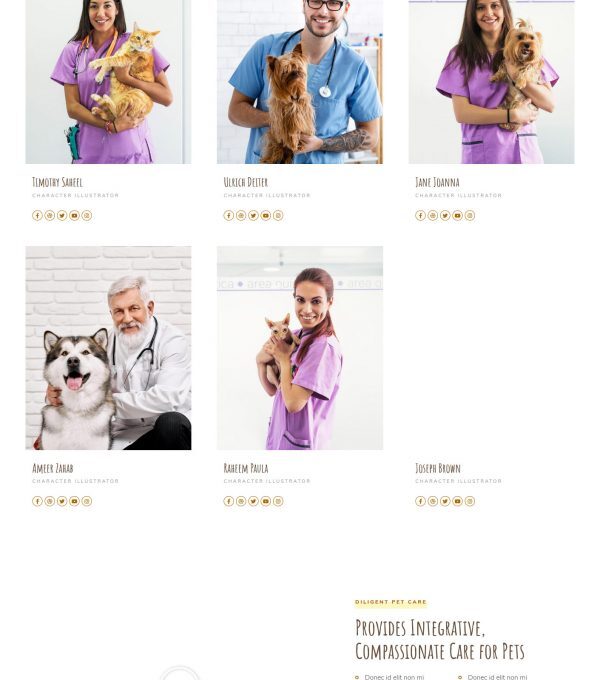 Amity Animal Hospital Veterinarian Template kit - Image 12